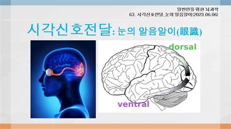 Image result for System Coding and Testing Work Instruction Example