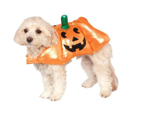 Pumpkin Dog & Cat Costume - Pet Costume Center