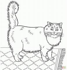 malvorlagen katzenbilder katzenbilder zum ausdrucken ausmalbild club malvorlagen katzenbilder katzenbilder zum ausdrucken ausmalbild club