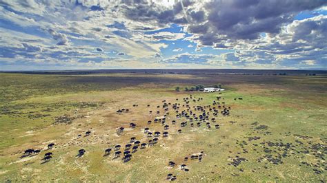 Humanity Living Alongside Wildlife at American Prairie Reserve, Montana ...