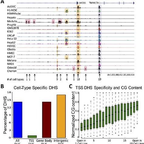 Image result for Cell Type Gene Expression