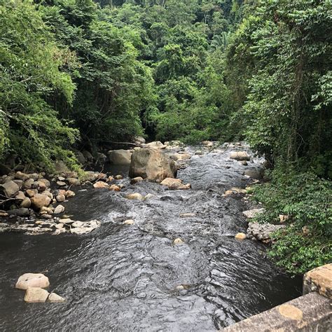 THE 10 BEST Places to Visit in La Mesa (2026) - Must-See Attractions