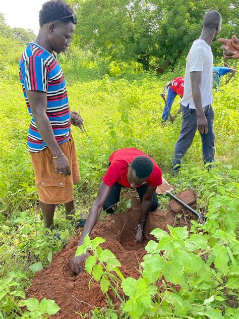 Image result for Tree-Planting Exercise