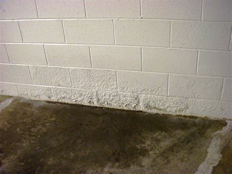 Best Paint For Block Basement Walls at Roy Melton blog