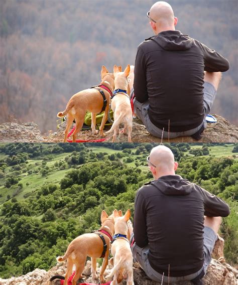 Ai 抠图换背景 的图像结果