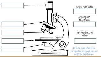 Image result for How to Use a Microscope From Micro Science