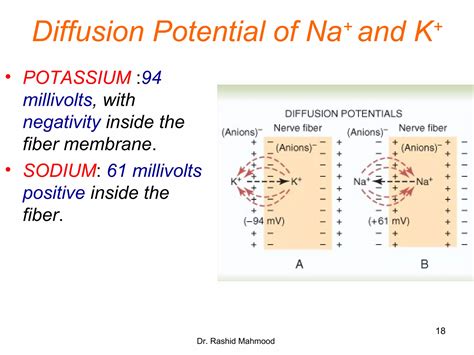 Image result for Diffusion Potentials