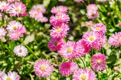 Image result for HTML Framework Practice