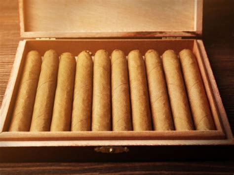 Image result for How Do You Use a Humidor