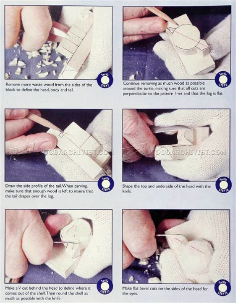 Image result for Turtle Carving Pattern