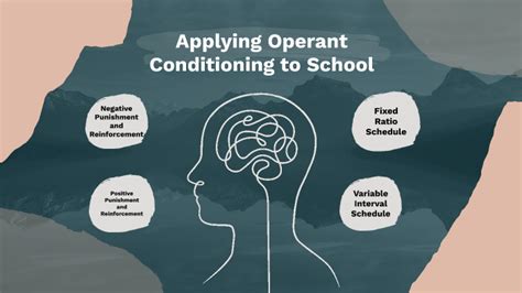 Image result for Operant Conditioning Examples in Classroom