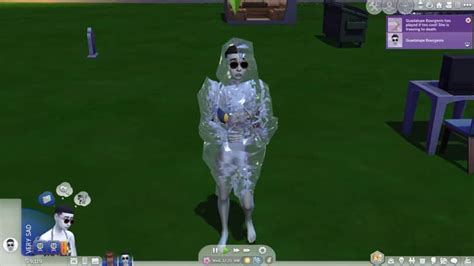 Image result for The Sims Tutorials Death Gra