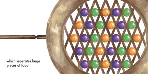 Image result for Random Objects Placed Together