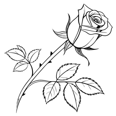 Image result for Rose Code Using HTML and CSS