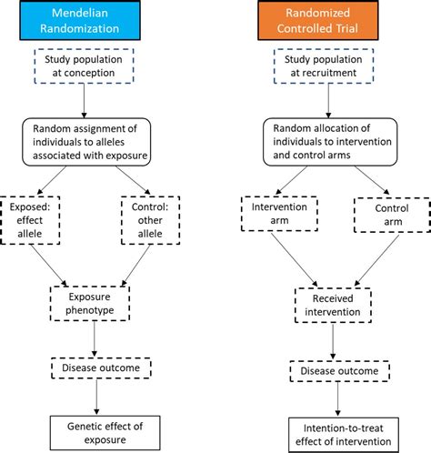 Recombination Engineering Flow Chart 的图像结果