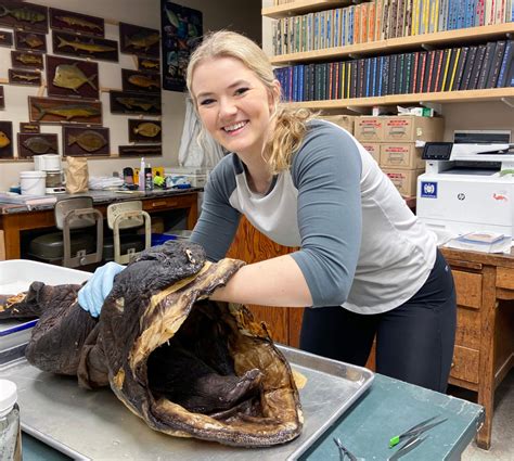 Biology Graduate Student Receives National Science Foundation Fellowship to Study Rare Megamouth ...