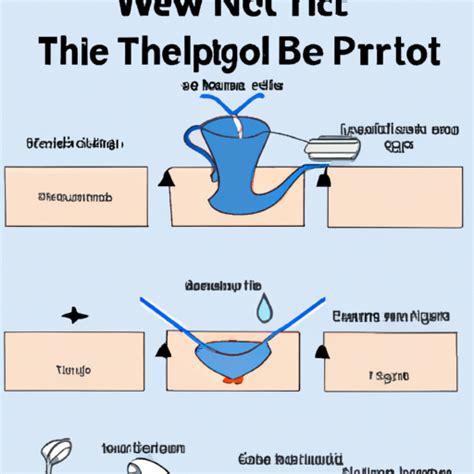 Neti Pot Tutorial 的图像结果