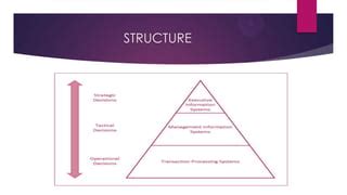 Management Information System Pyramid 的图像结果
