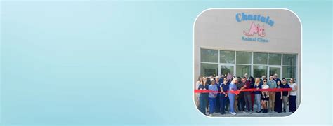 Veterinary Care in Smyrna, GA | Chastain Animal Clinic