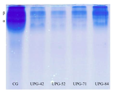 High-Intensity Ultrasound Pulses Effect on Physicochemical and ...