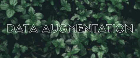 Image result for Deep Learning Data Augmentation