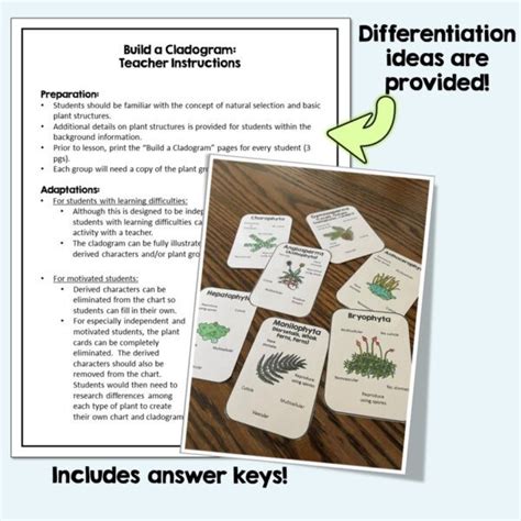 Image result for Building a Cladogram Activity