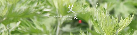2021广州国际艾草艾灸展