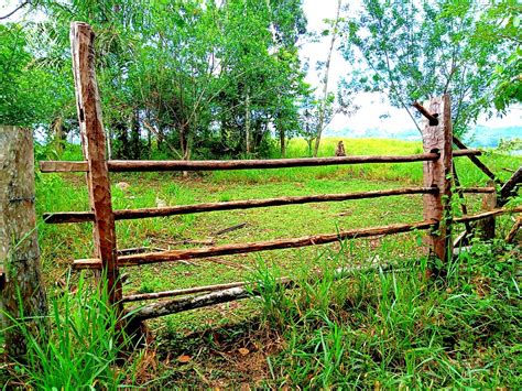 Field 图片 的图像结果