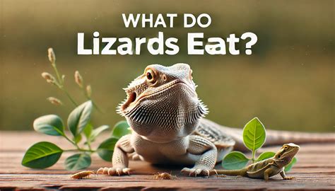 What Do Lizards Eat? Amazing fruits and Vegetable Diet Guide