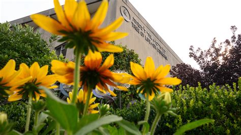 Families Confront Pittsburgh Synagogue Gunman as He Is Sentenced to ...
