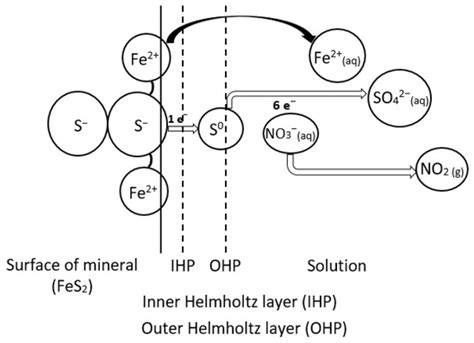 The Kinetics of Pyrite Dissolution in Nitric Acid Solution
