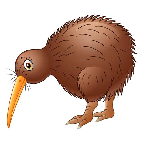 Cute kiwi bird cartoon 10284902 Vector Art at Vecteezy