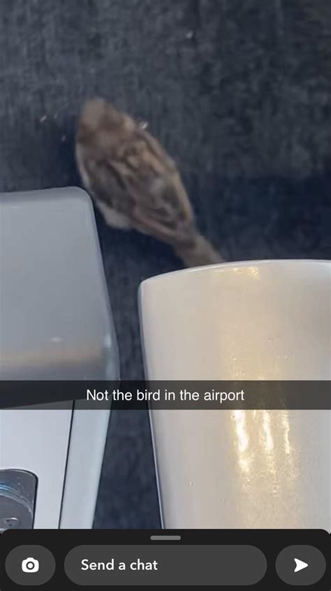 From my sister’s snap : r/UnexpectedMulaney