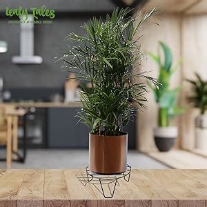 Leafy Tales Round Metal Plant Stand for Outdoor Balcony, Set of 15 ,20* ...