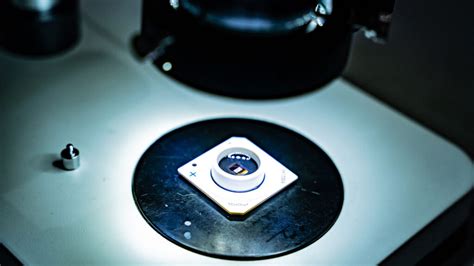 Brain Processing Unit 的图像结果