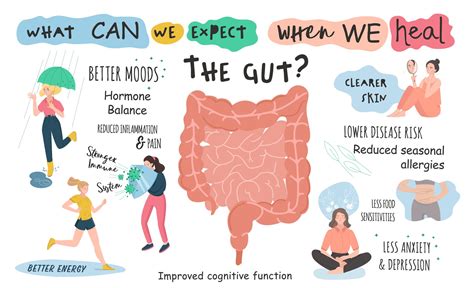 Therapeutic Tools for Gut Microbiome Health • Paleo Foundation