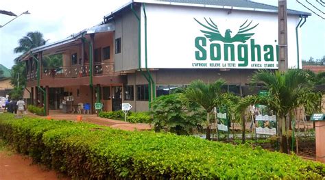 RESTAURANT CENTRE RÉGIONAL SONGHAÏ, Porto-Novo - Restaurant Reviews ...