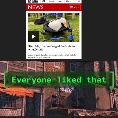 Everyone liked that : r/memes