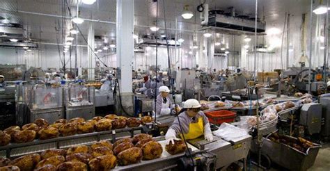 食品加工厂高清图片下载-正版图片600058904-摄图网