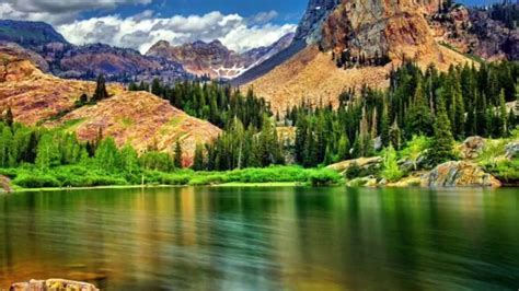 Image result for Colorado O2 Sensor Bank One