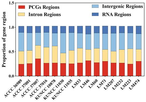 Pan-Mitogenome Construction, Intraspecific Variation, and Adaptive ...