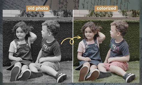 Best Image Colorizer 的图像结果