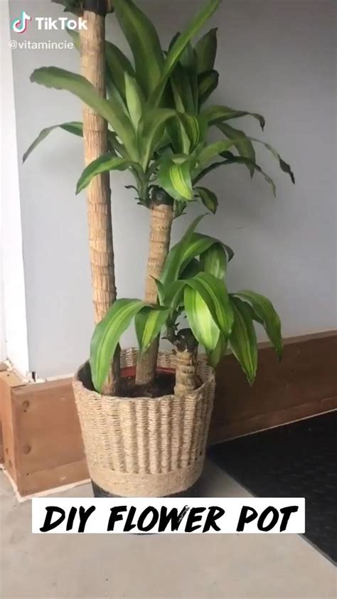 Image result for Homemade Flower Pots