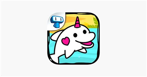 Image result for Dolphin Evolution