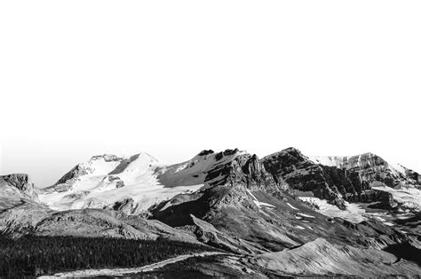 Summit Trail Advisors | LinkedIn