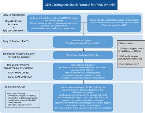 Protocol‐Driven Best Practices and Cardiogenic Shock Survival in Asian Patients | Journal of the ...