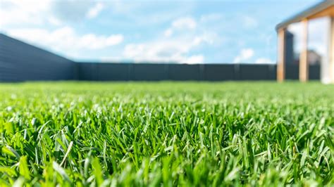 How to Keep Your Lawn Greener in the Summer | Landscaping Dallas