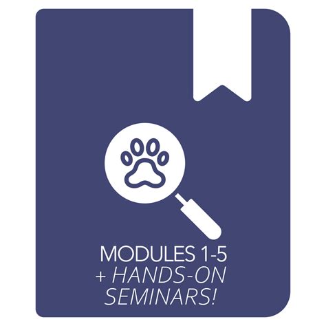 Rezultat imagine pentru Combo Mod