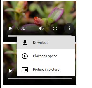 Image result for HTML Video Tag Example