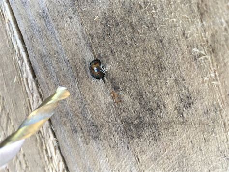 Image result for Sand Box Using Pallets